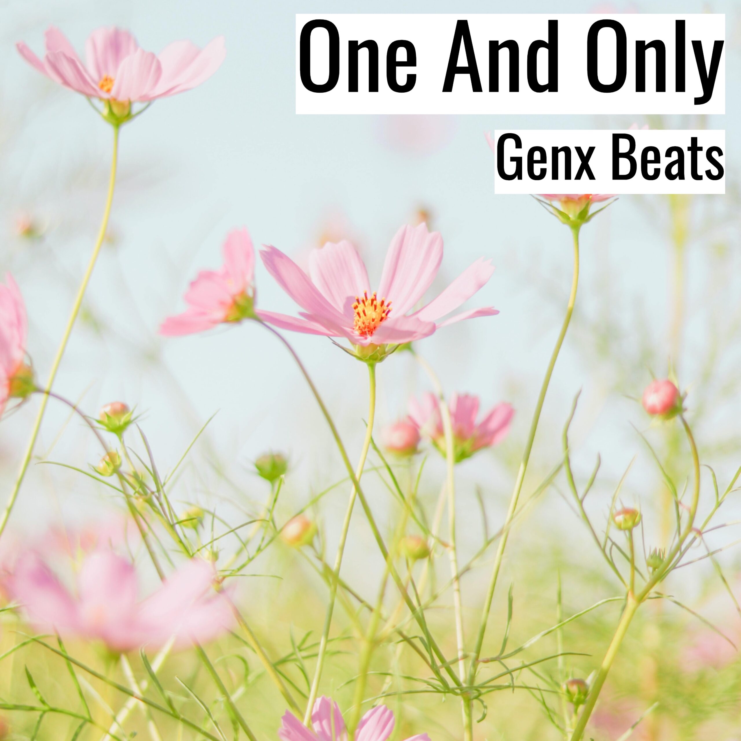 [Emotional Hiphop Beat] One And Only – Genx Beats