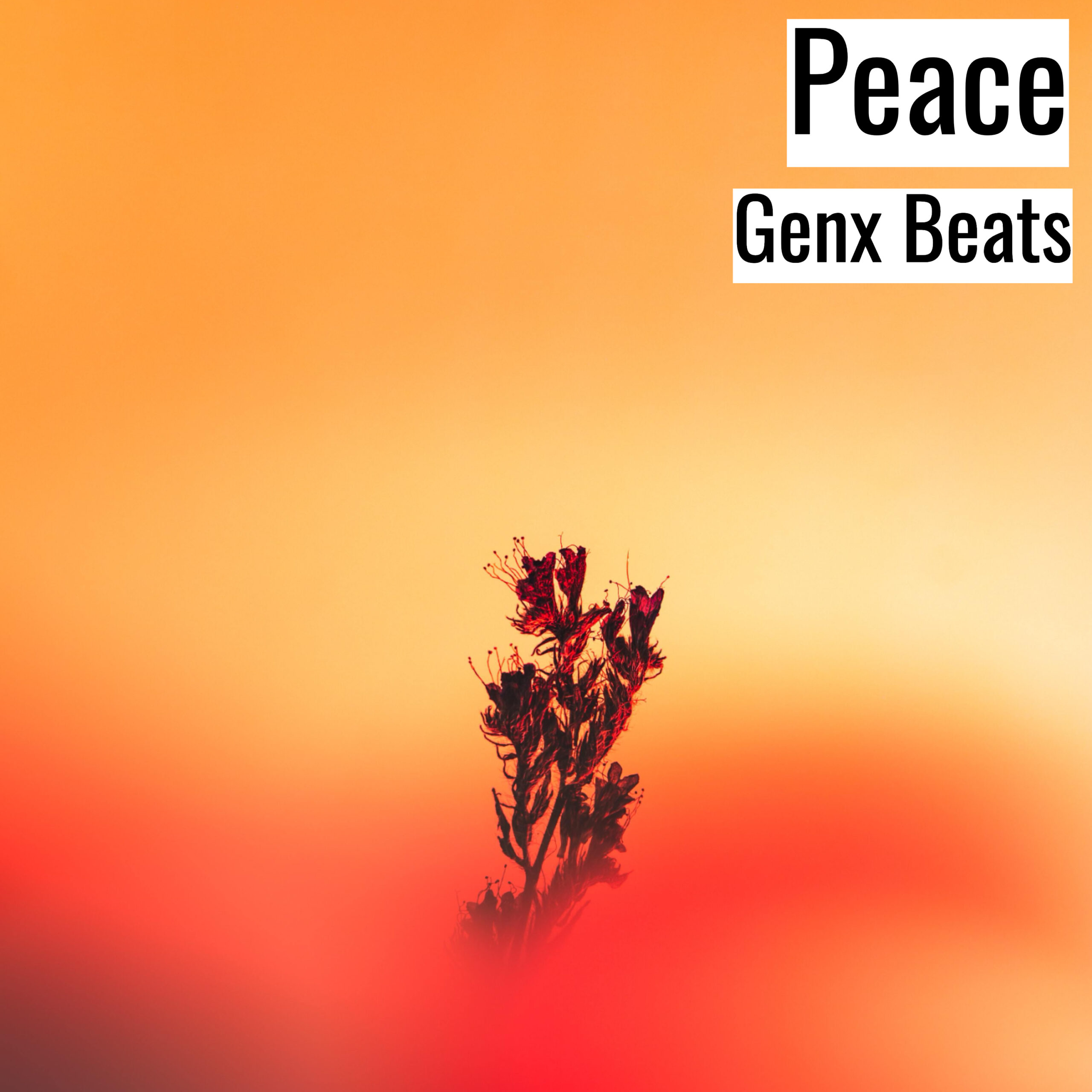 [Emotional Hiphop Beat] Peace – Genx Beats