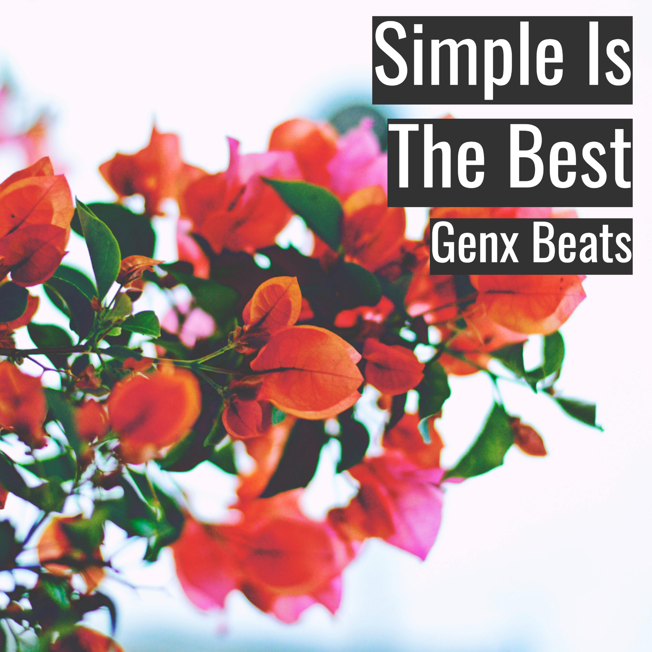 [Happy Hiphop Beat] Simple Is The Best – Genx Beats