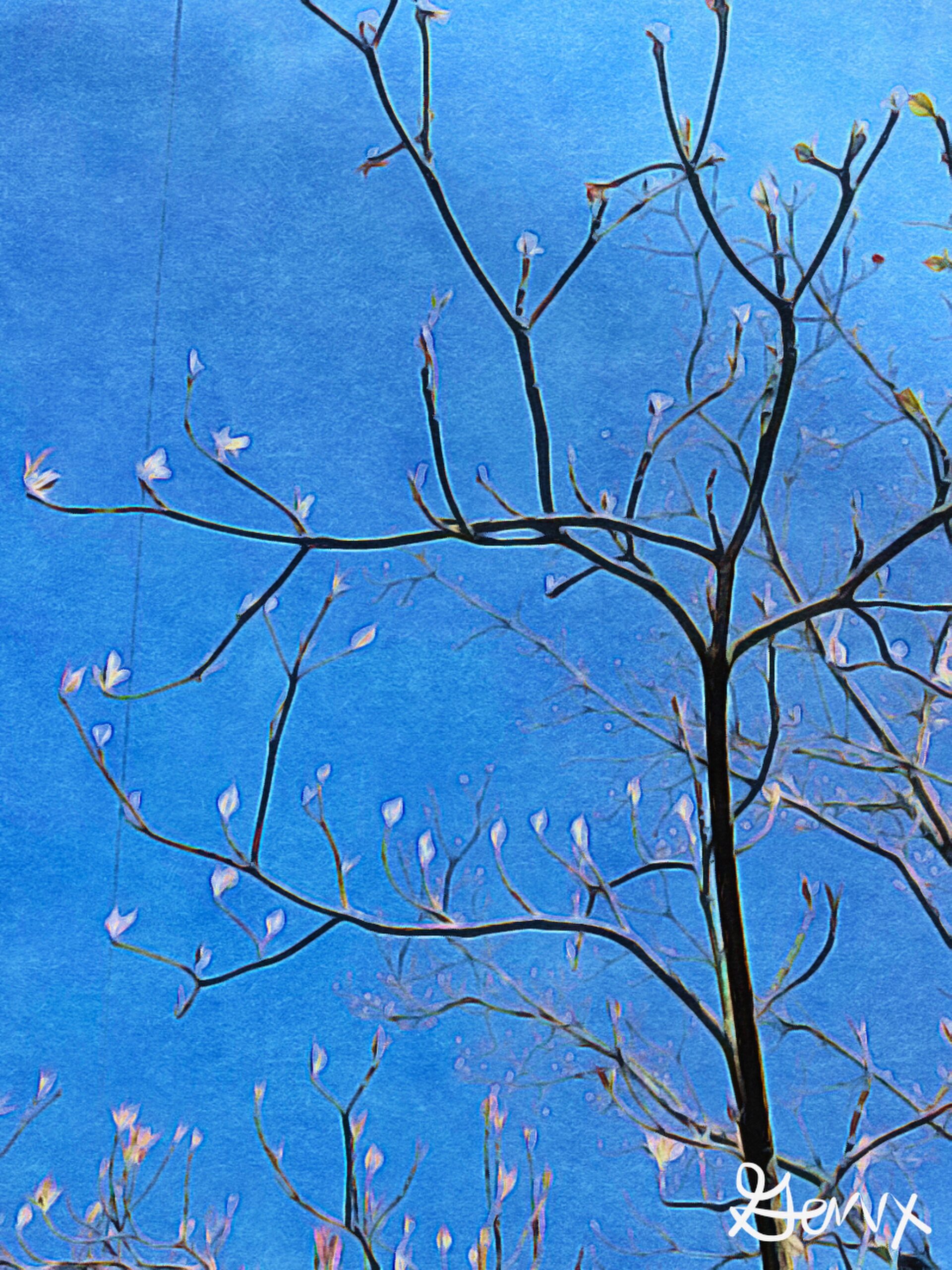 [Art] Spring Is Here