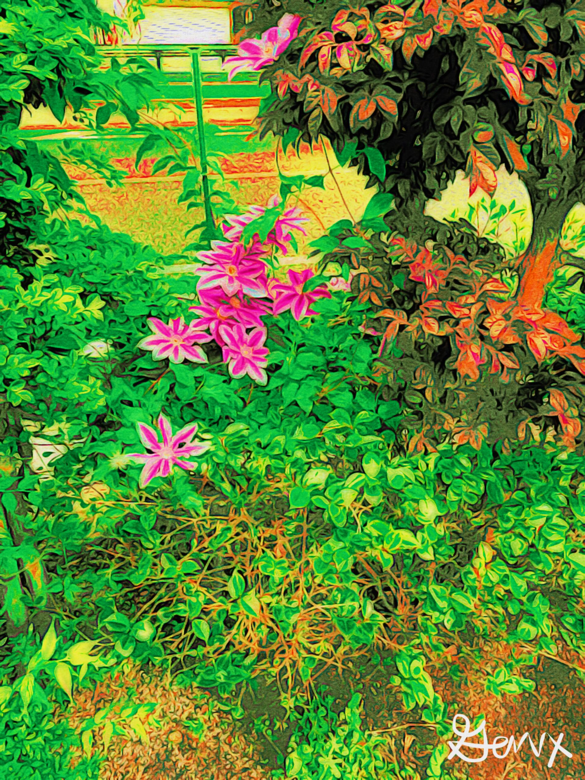 Street Flowers scaled