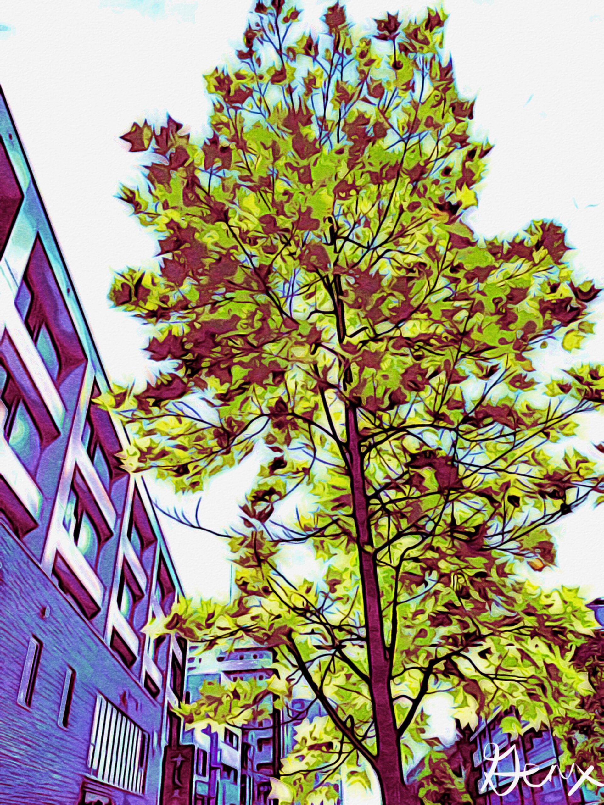 Sunny Green scaled