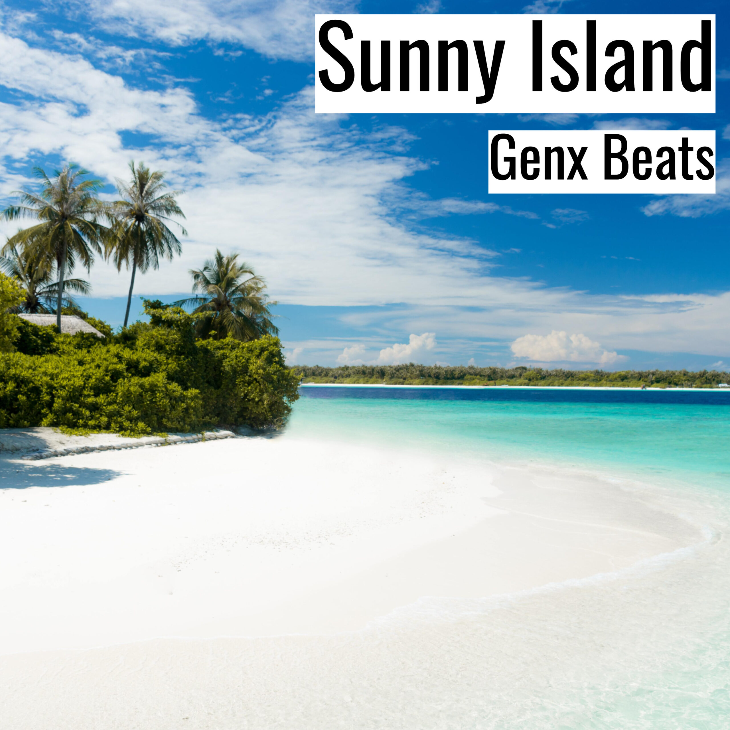 Sunny Island scaled