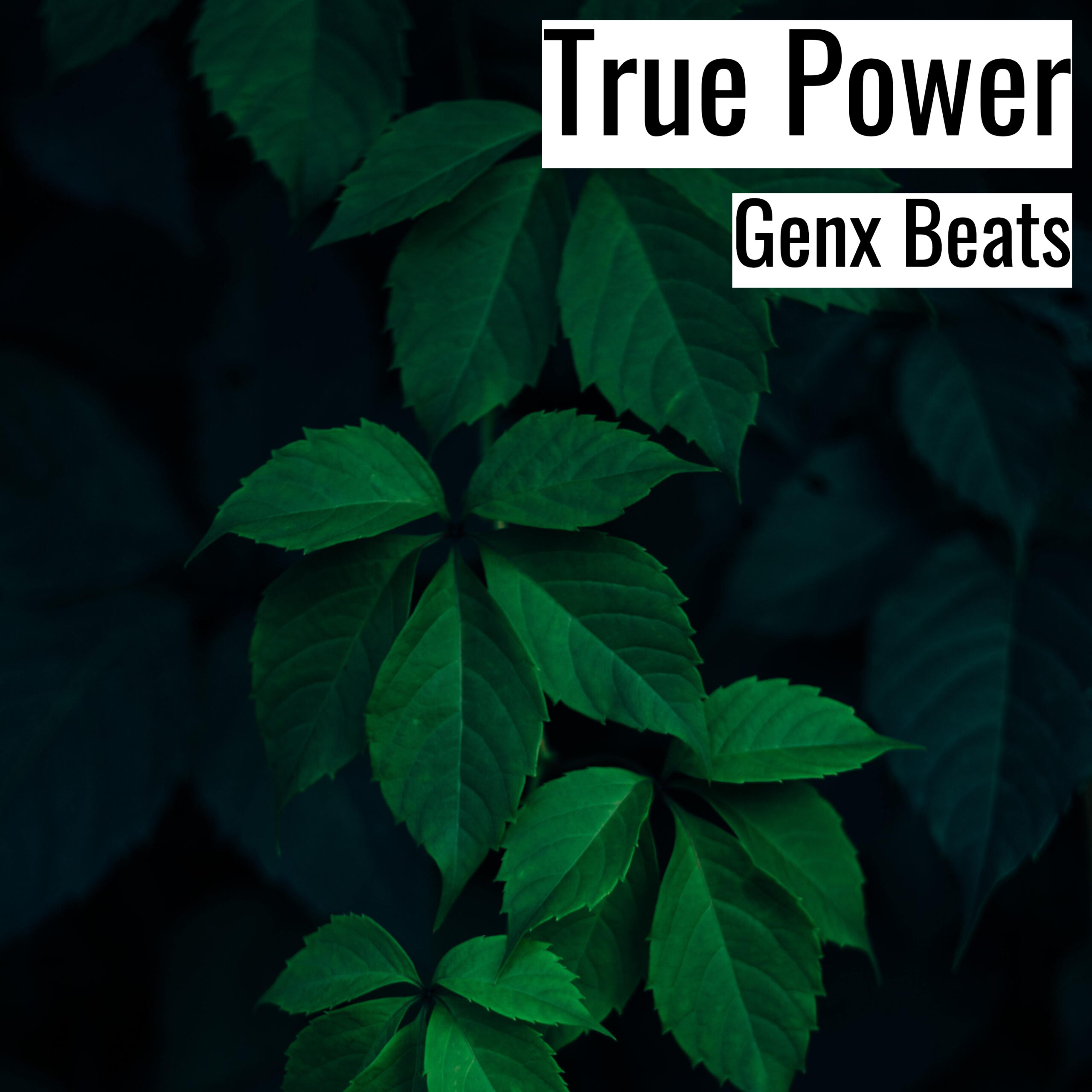 True Power scaled