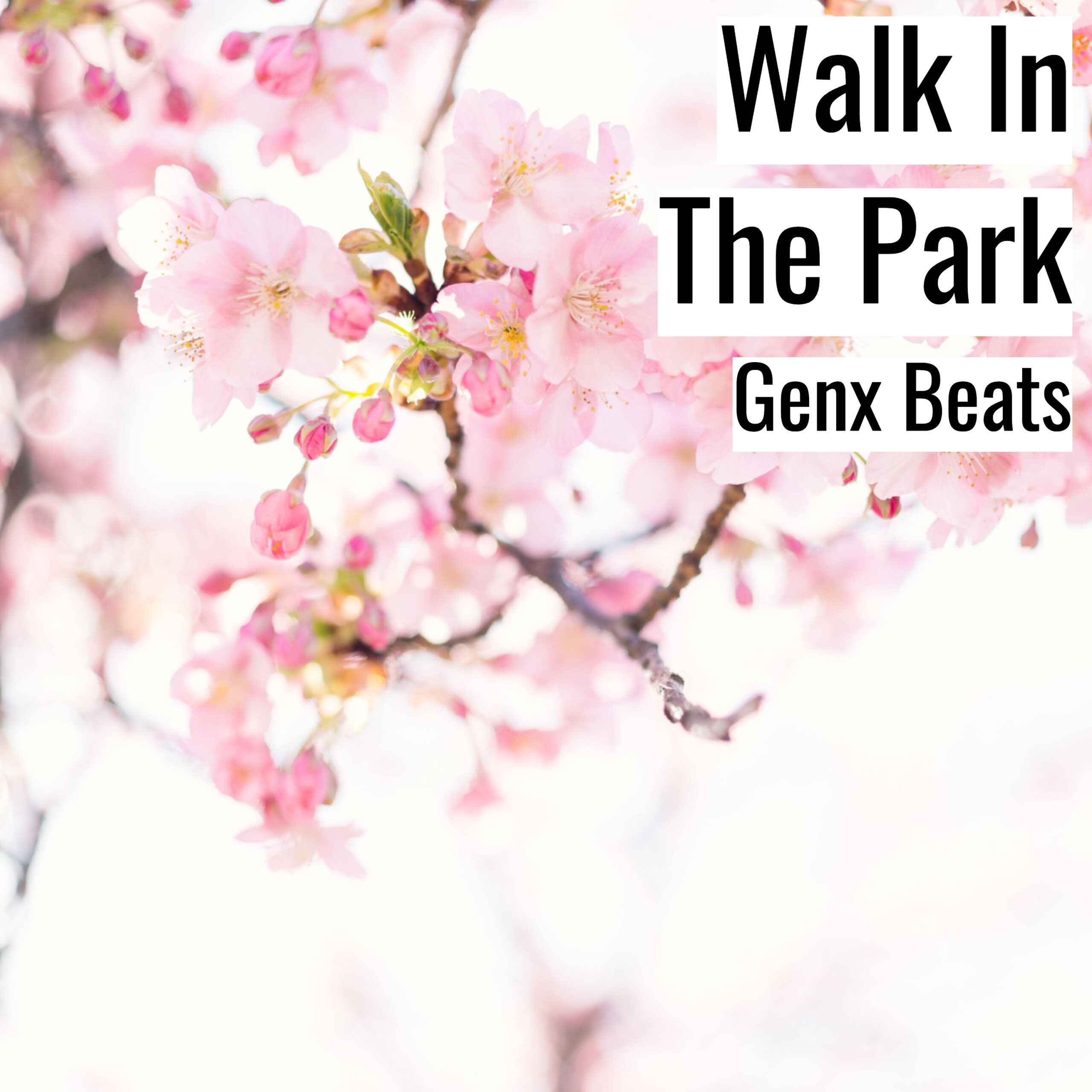 [Happy Hiphop Beat] Walk In The Park – Genx Beats