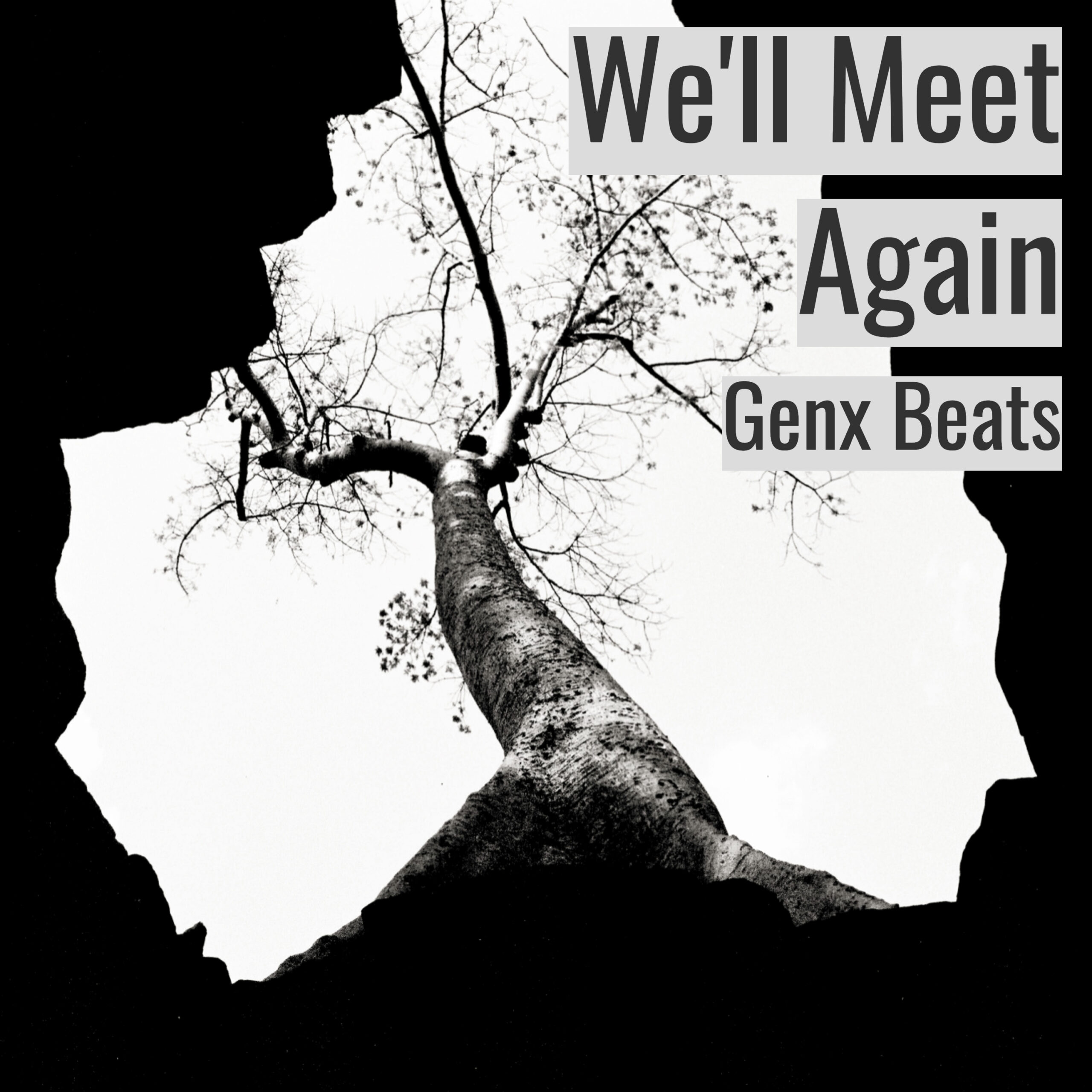 [Emotional Hiphop Beat] We’ll Meet Again – Genx Beats