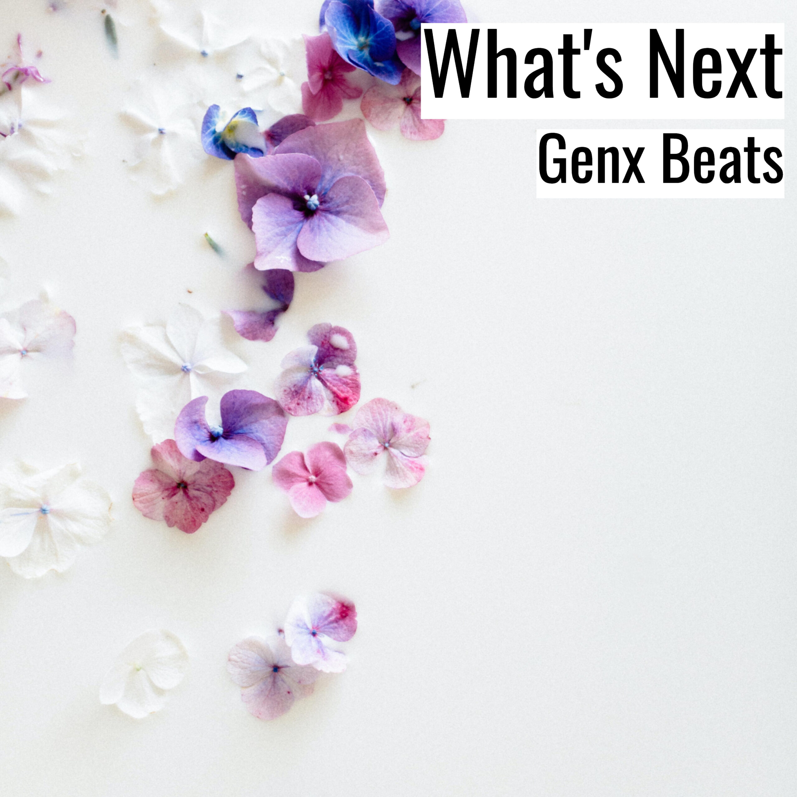[Emotional Hiphop Beat] What’s Next – Genx Beats