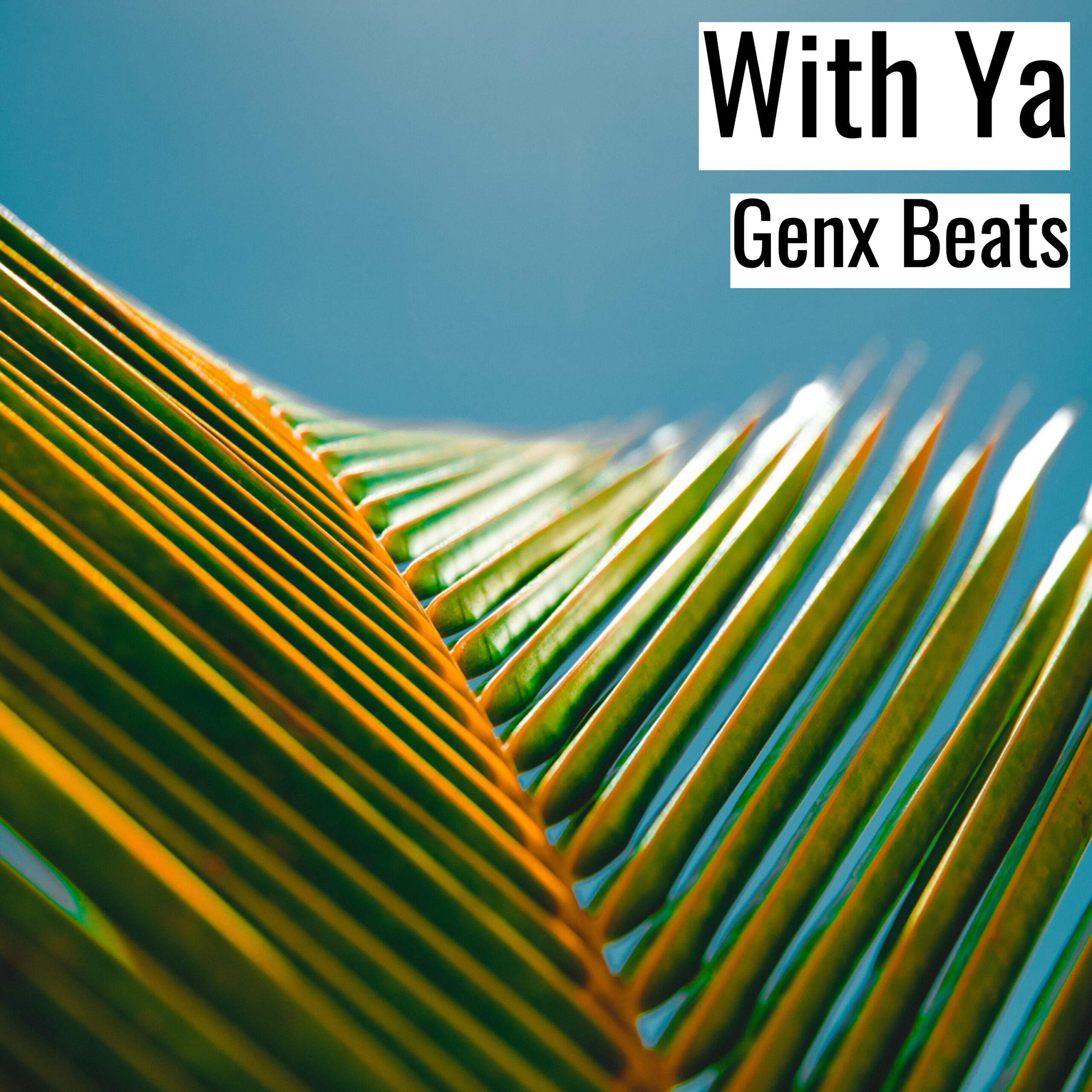 [Happy Hiphop Beat] With Ya – Genx Beats