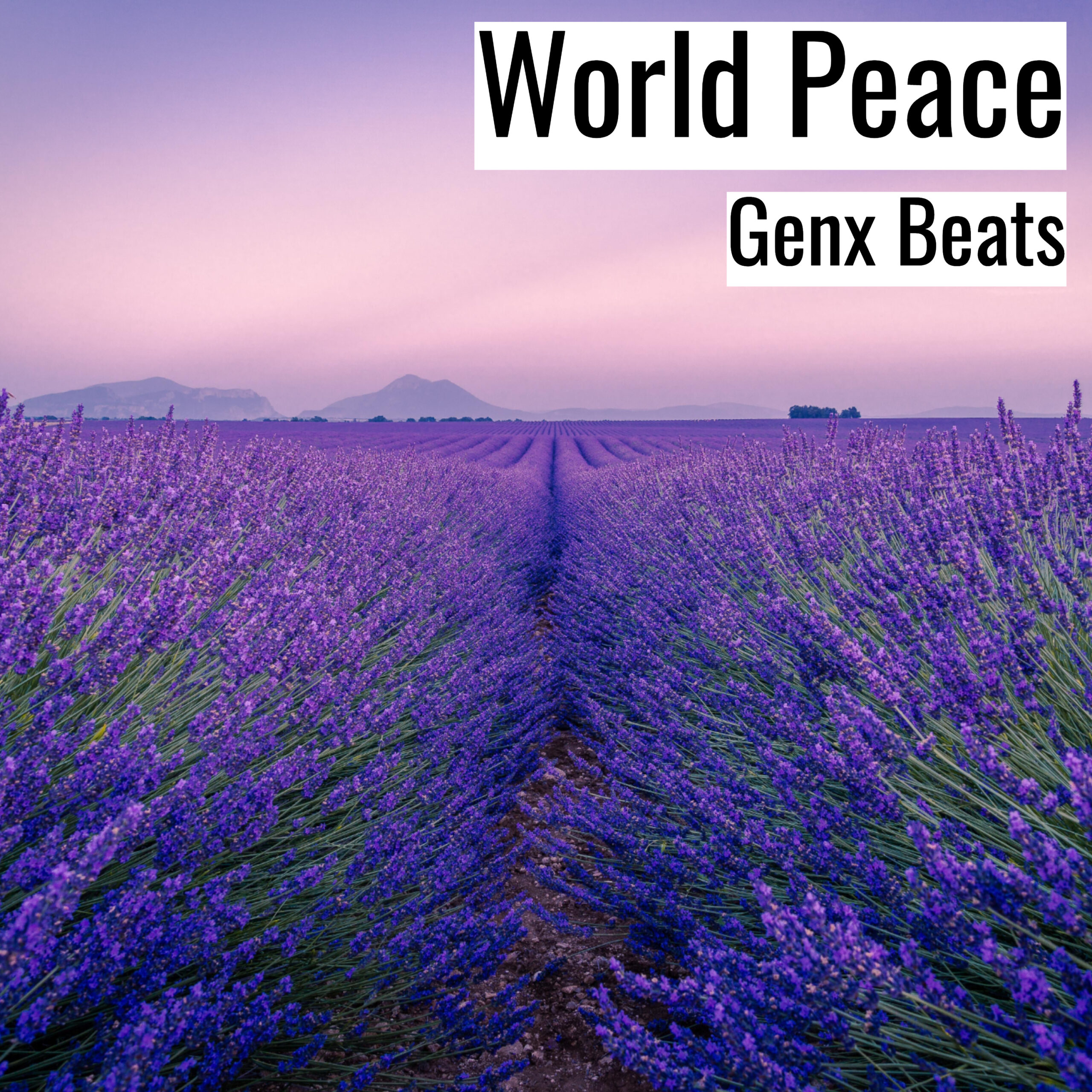 [Happy Hiphop Beat] World Peace – Genx Beats