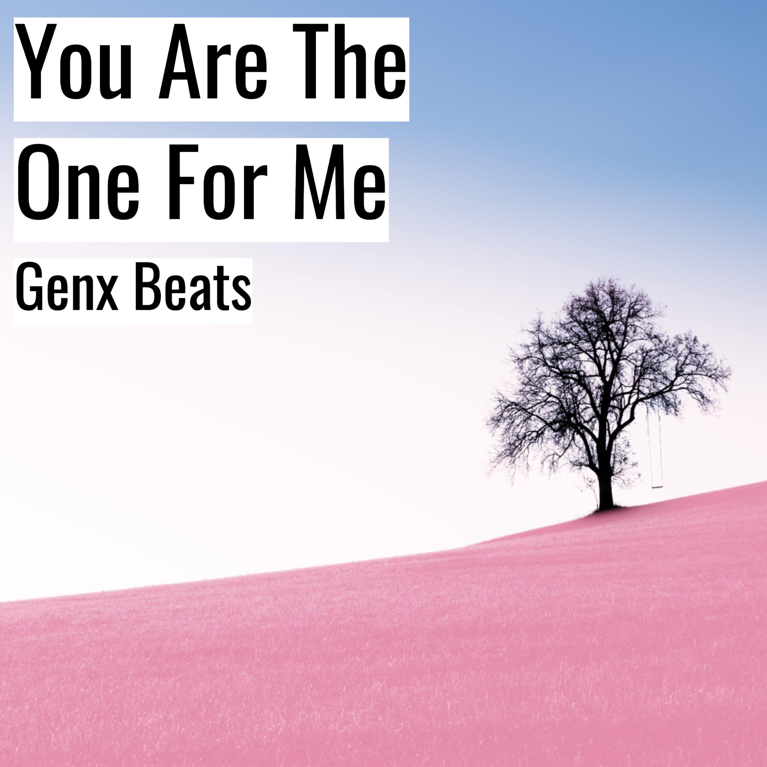 [Emotional Hiphop Beat] You Are The One For Me – Genx Beats