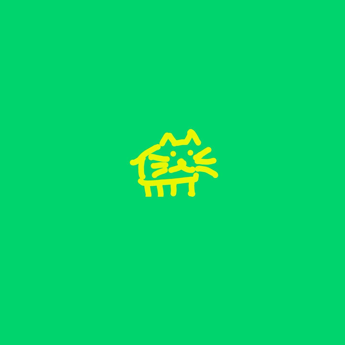 A Cat
