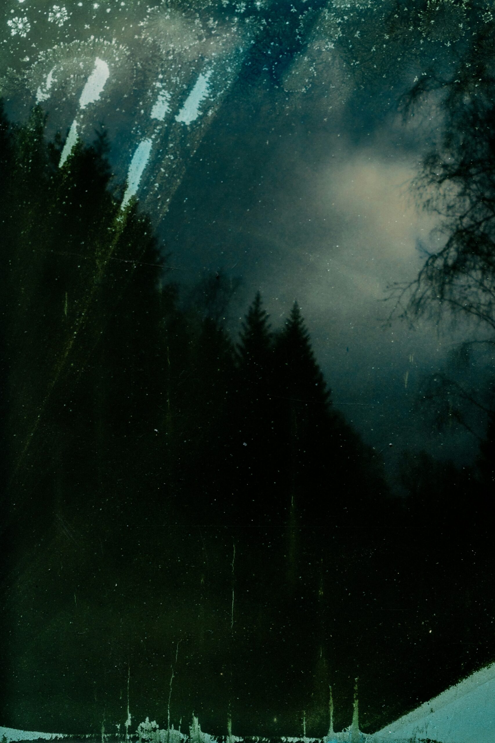 annie spratt oLbyiENtuGs unsplash scaled