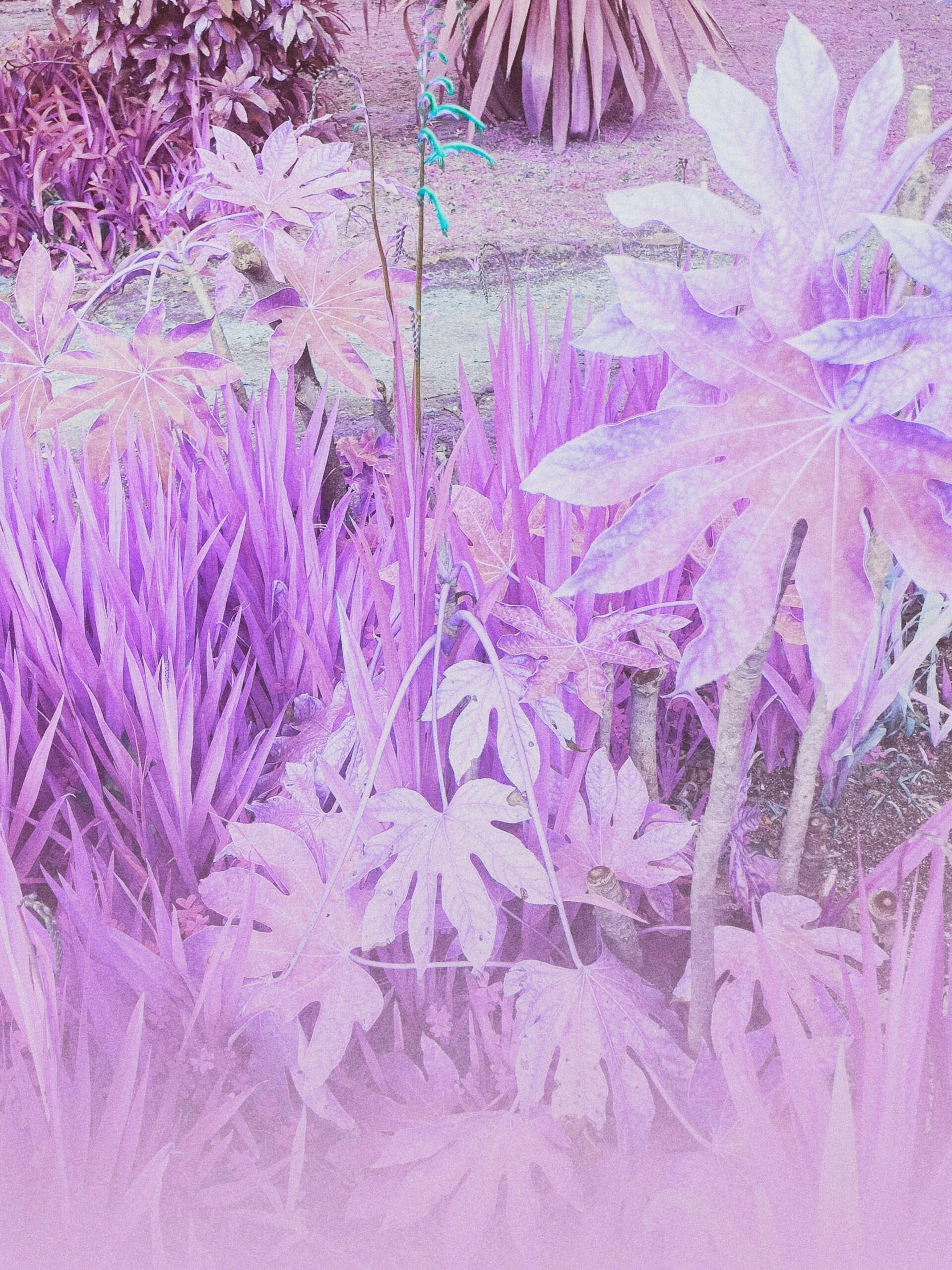 maria louceiro eU3 IoOYaf8 unsplash scaled