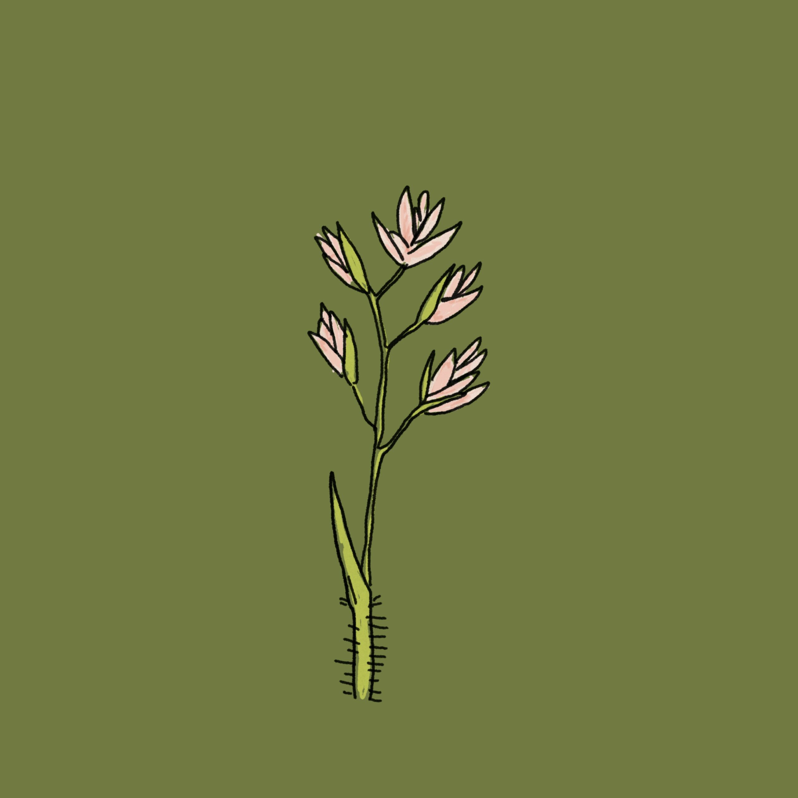 annie spratt 1 w7dXWG2A0 unsplash scaled