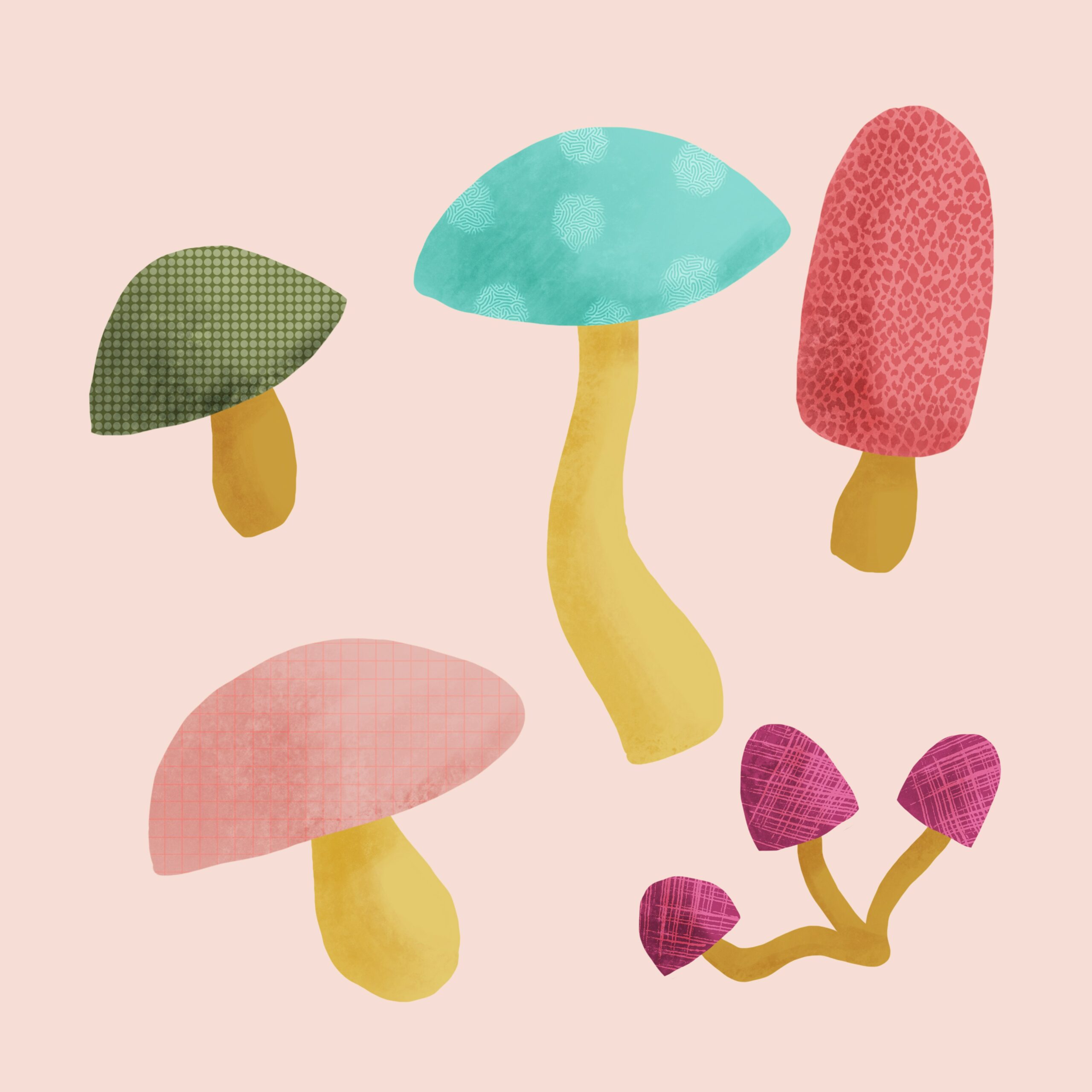 annie spratt yfUj9pzBAGc unsplash scaled