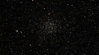 steve busch MaQSRB5Mcjs unsplash