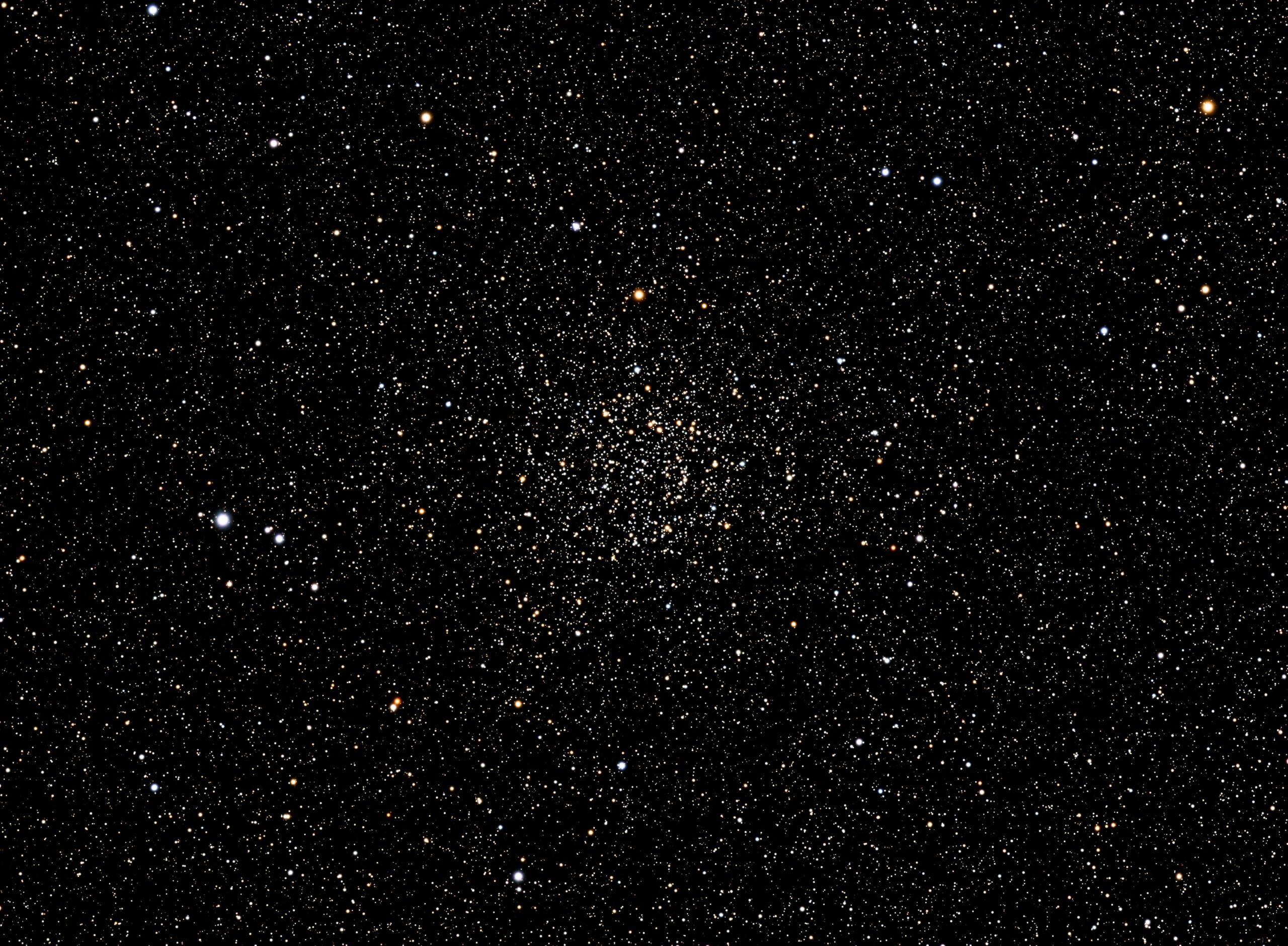steve busch MaQSRB5Mcjs unsplash scaled